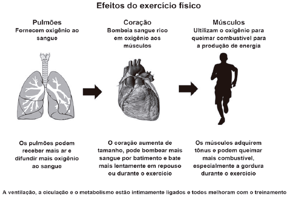 Imagem da questão 96 do ENEM 2012
