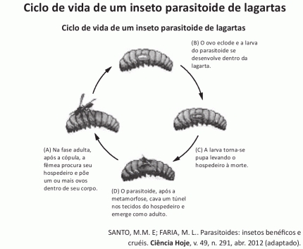 Imagem da questão 81 do ENEM 2014